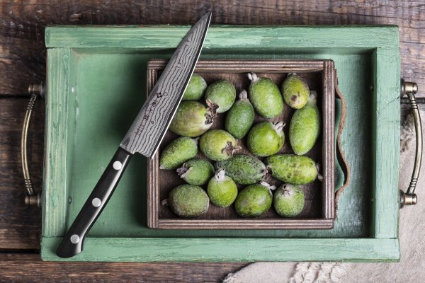 Японский нож TOJIRO F-333 Японский нож TOJIRO F-333