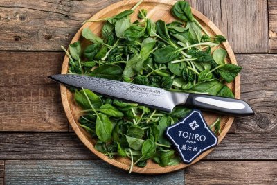 FF-CA210 Фотография Кухонный Нож для нарезки Слайсер TOJIRO FF-CA210